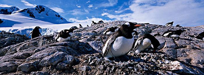 《夜廻三》中文版将登陆NS和PS4 10月27日发售